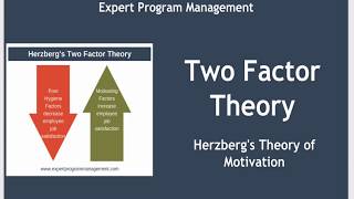 Two Factor Theory  Herzbergs Theory of Motivation [upl. by Dami]