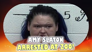 Amy Slaton Arrested Shocking Charges at Tennessee Zoo [upl. by Briny]