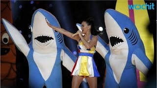 Left Shark Steals Katy Perrys Halftime Show [upl. by Iggy]