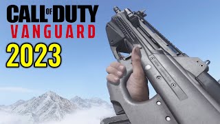 COD Vanguard  All Weapons Showcase Updated 2023 [upl. by Coffin363]