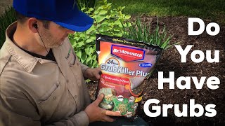 Do You Have Grubs in Your Lawn DIY [upl. by Speroni]