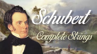 Schubert Complete String Quartets [upl. by Cicily]