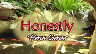 Honestly Acoustic  KARAOKE VERSION  as popularized by Harem Scarem [upl. by Charie]