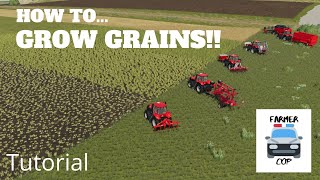 How To Grow Wheat Barley Oats Canola and Soybeans in Farming Simulator 19 [upl. by Ohaus]