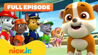 Rubble Joins the PAW Patrol and the Pups Save a Walrus  FULL EPISODES  Nick Jr [upl. by Ivett]