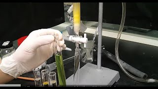 【4K】 Column Chromatography Purification🌟 [upl. by Riordan]