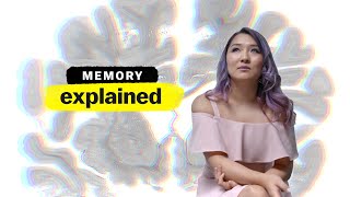 Memory Explained  FULL EPISODE  Vox  Netflix [upl. by Atinreb714]