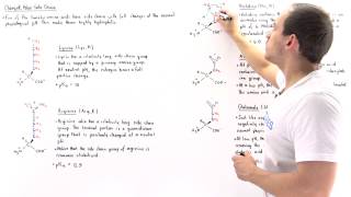 Basic and Acidic Amino Acids [upl. by Kalli]