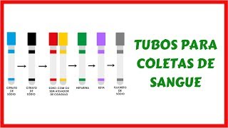 Tubos para Coleta de Sangue [upl. by Aysahc]