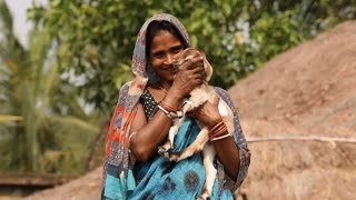 In Rural India Women Lead the Way to Improve Livelihoods [upl. by Gearalt]