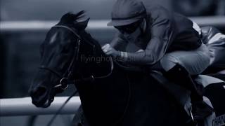 Whatever It Takes Horse Racing Music Video [upl. by Llebanna]