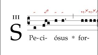 Graduale Speciosus forma [upl. by Hannavas]