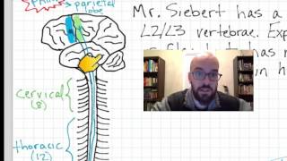 Spinal Cord Injury Physiology  Pathophysiology [upl. by Millda]