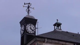 Garstang Town Hall Clock [upl. by Harvison]