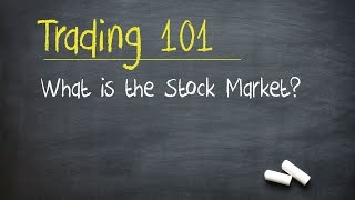 Trading 101 What is the Stock Market [upl. by Llerihs]