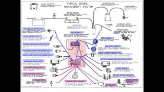 Instructor Series Inputs outputs amp PCM [upl. by Llennahs467]