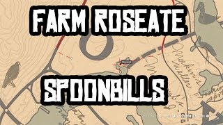 30 SPOONBILL PLUMES Best Location To Farm Exotic Mission RDR2 [upl. by Mayne]