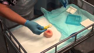 Wound Management  Basic Dressing [upl. by Willis]