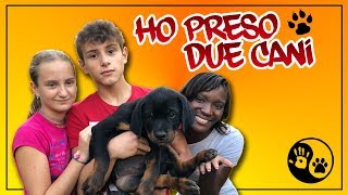 HO PRESO 2 CUCCIOLI DI CANE 🐶🐶VLOG TENERI [upl. by Gnuoy883]