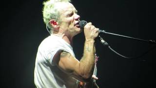 Flea  Nervous Breakdown Black Flag cover Red Hot Chili Peppers live at Unipol Arena 2016 [upl. by Ruffi]