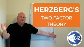 A level Business Revision  Herzbergs Two Factor Theory [upl. by Itsuj]