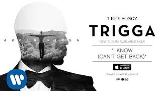 Trey Songz  I Know Cant Get Back Official Audio [upl. by Araeic969]