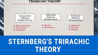 STERNBERGS TRIARCHIC THEORY OF INTELLIGENCE [upl. by Novia]