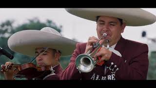 Mariachi El Alegre Música tradicional de Nochistlán Zacatecas [upl. by Schuh250]