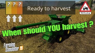 A Guide to When should YOU harvest Ready to harvest Farming Simulator 19 PS4 Assistance [upl. by Ellevart]