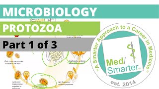 Protozoa  Microbiology  USMLE STEP 1  Part 1 of 3 [upl. by Nytsrik]