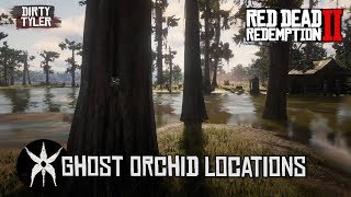 All Ghost Orchid Locations in Red Dead Redemption 2  RDR2 [upl. by Eceinej]