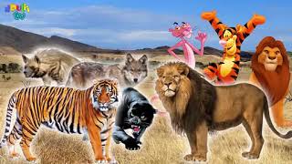 wild animals drulii tv finger family [upl. by Capwell670]