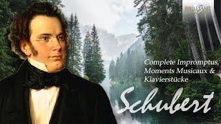 Schubert Complete Impromptus Moments Musicaux amp Klavierstücke [upl. by O'Dell]