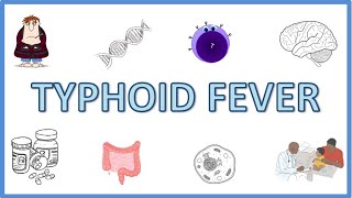 Typhoid Fever  Causes Pathogenesis Signs and Symptoms Diagnosis Treatment and Prevention [upl. by Cam]