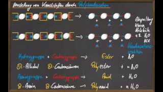 Q11 Kunststoffe durch Polykondensation [upl. by Johan]
