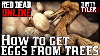 How To Get Eggs From Trees Plus Egret Egg Location for the Collector Role Red Dead Online RDR2 [upl. by Alaric]