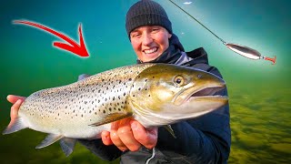 CATCHING GIANT SALMON Bergeforsen  Best Salmon Fishing in the World  Team Galant [upl. by Caddric]