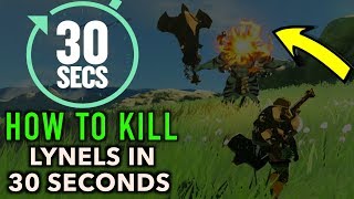 How to Beat a Lynel in 30 Seconds or Less in Zelda Breath of The Wild [upl. by Bryan]