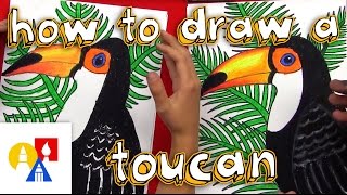 How To Draw A Realistic Toucan [upl. by Otreblaug]