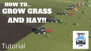 How to Grow Grass and Hay in Farming Simulator 19 [upl. by Atiuqcaj]