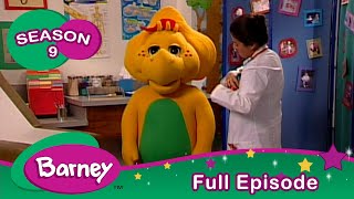 Barney  Caring Hearts  Full Episode  Season 9 [upl. by Eicyak]