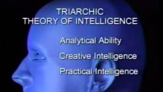 The Triarchic theory of intelligence [upl. by Belldame577]