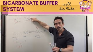 Bicarbonate Buffer System [upl. by Clements]