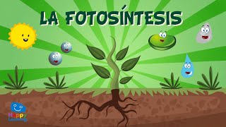 LA FOTOSÍNTESIS  Vídeos Educativos para Niños [upl. by Ylerebmik]