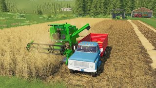 Harvesting wheat and cutting hay using old tractors  Farming simulator 19  Back in my day [upl. by Goran712]