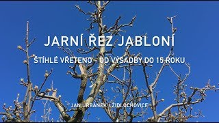 Jarní řez jabloní  od výsadby do 15 roku [upl. by Keavy]