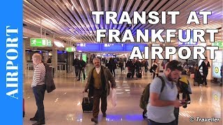 TRANSIT WALK AT FRANKFURT Airport FRA Terminal 1  Connection Flight Transfer Arriving amp Departing [upl. by Massimiliano]