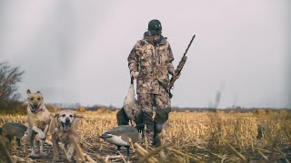 Waterfowl Hunting for Giant Canada Geese [upl. by Fancie]