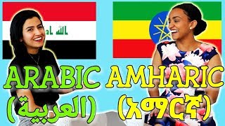 Similarities Between Arabic and Amharic [upl. by Ydnyl]