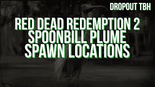 Red Dead Redemption 2  Spoonbill Spawn Locations [upl. by Cyn336]